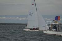 100_8482 - sail 239