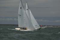 100_8501 - sail 229