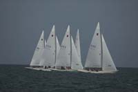 5D2W7169 - sail 230