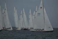 5D2W7179 - sail 245