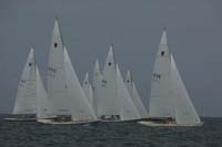 5D2W7188 - sail 238