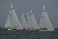 5D2W7189 - sail 238