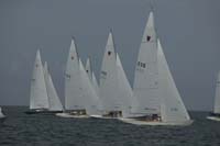 5D2W7190 - sail 238