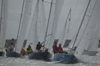 5D2W7233 - sail 244