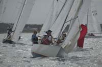 5D2W7245 - sail 248