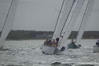 5D2W7255 - sail 229