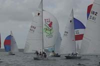 5D2W7256 - sail 248