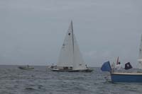 5D2W7290 - sail 61