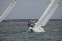 5D2W7423 - sail 220
