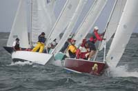 5D2W7437 - sail 252 sail 229