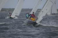 5D2W7475 - sail 245