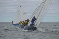 5D2W7769 - sail 61