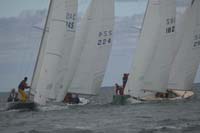 5D2W7818 - sail 182 sail 245 sail 224