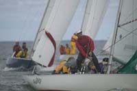 5D2W7822 - sail 248