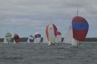 5D2W7840 - sail 239 sail 238