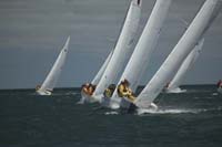 5D2W7869 - sail 239 sail 224 sail 238