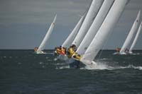 5D2W7870 - sail 239 sail 224 sail 238