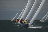 5D2W7871 - sail 239