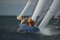 5D2W7877 - sail 244