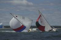 5D2W7902 - sail 221 sail 101