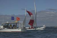 5D2W7907 - sail 221 sail 11