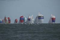 5D2W8249 - sail 220