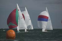 5D2W8271 - sail 230 sail 223