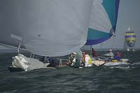 5D2W8291 - sail 61
